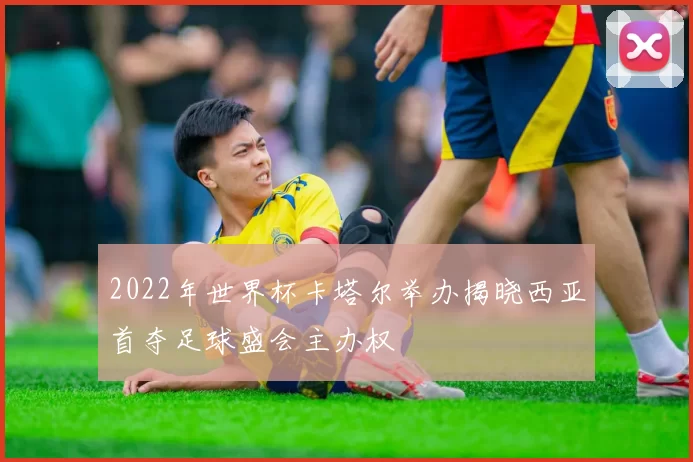 2022年世界杯卡塔尔举办揭晓西亚首夺足球盛会主办权